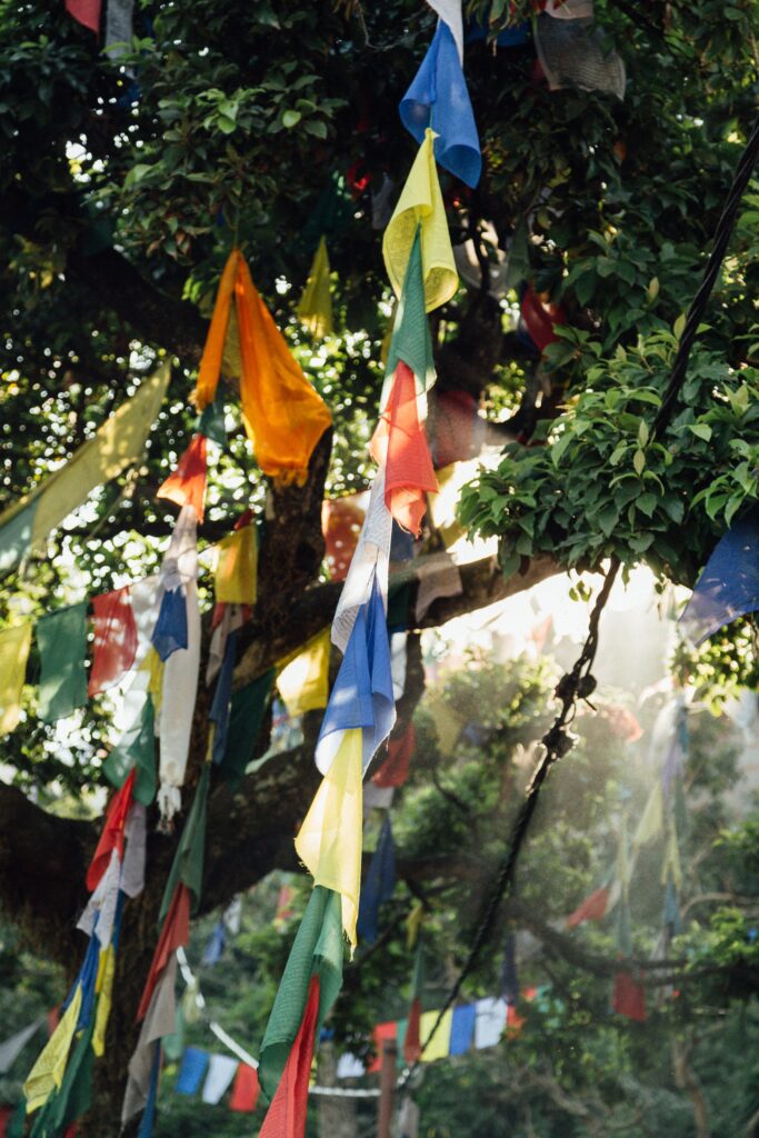 Bunte tibetische Gebetsfahnen, die im Sonnenlicht an einem Baum im Freien hängen.